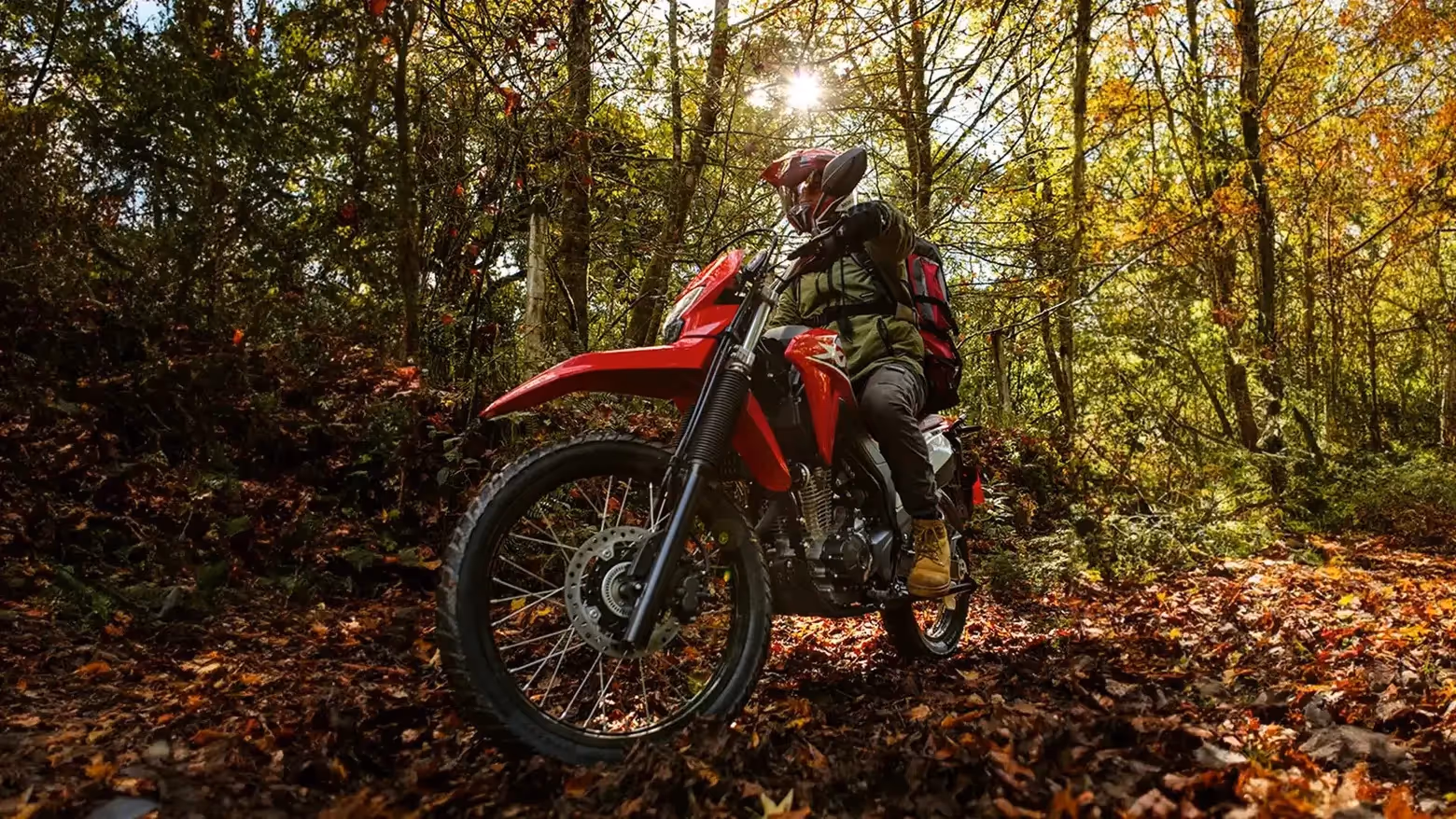 XR 300L Tornado detalhe traseiro